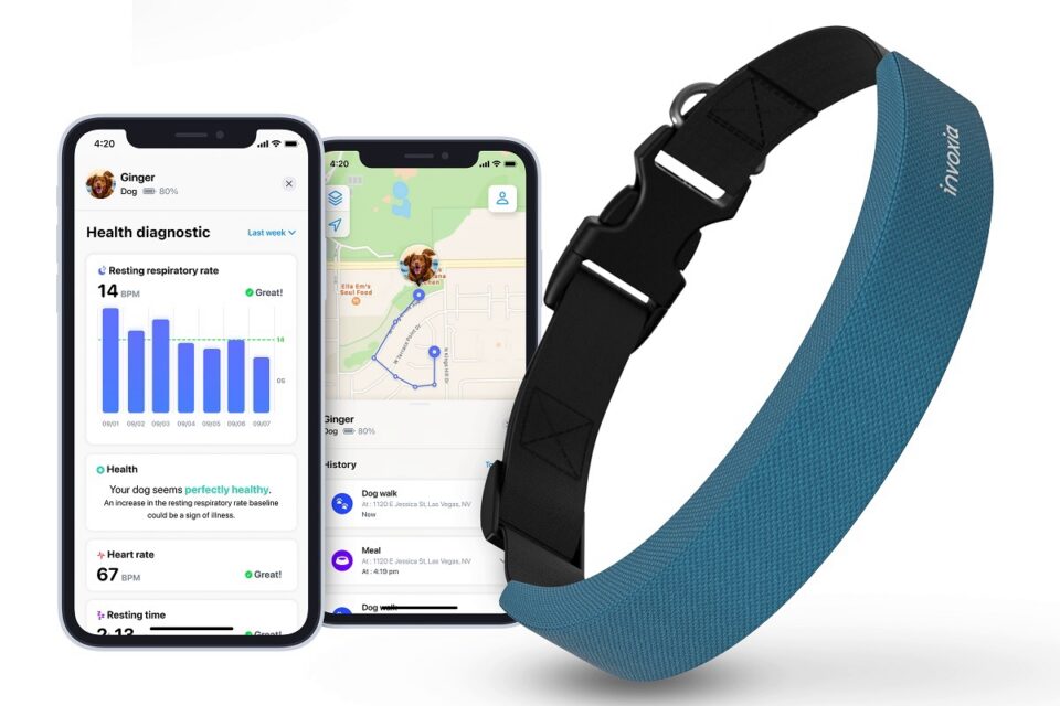 Apple Watch для собак: «розумний» нашийник Invoxia з GPS вміє моніторити показники здоров’я