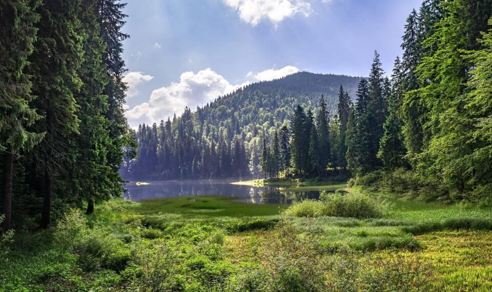 Тури в Закарпаття з Рівного