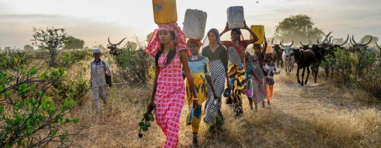 Всесвітня метеорологічна організація констатує: клімат планети змінюється на очах