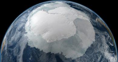 На глибині 500 метрів. Під кригою Антарктиди знайшли прихований живий світ