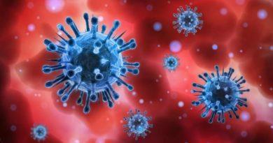 У Європі знайшли новий тип коронавірусу