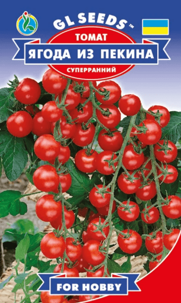 Как выращивать томаты-черри