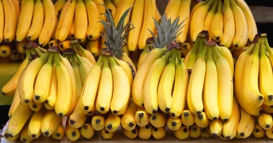 Чим корисні банани з коричневими плямами на шкірці: 7 плюсів для здоров’я