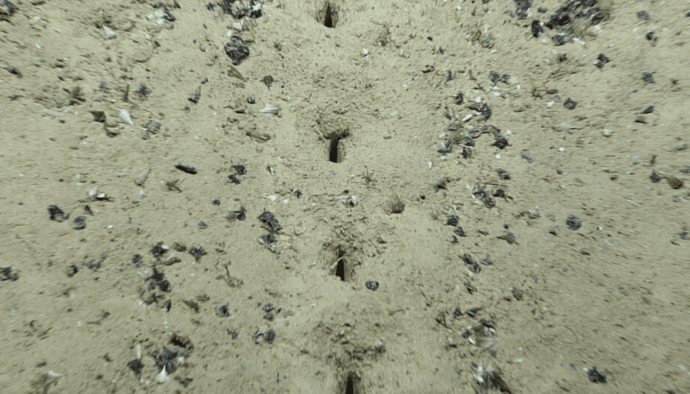 На дні океану виявили дивні «інопланетні» діри