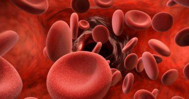 Дослідники виявили два білки крові, що впливають на тривалість життя