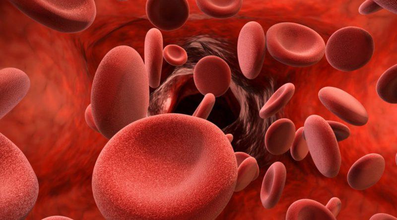 Дослідники виявили два білки крові, що впливають на тривалість життя