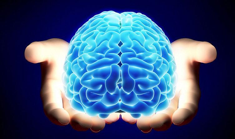 Вчені спростували концепцію про зменшення мозку
