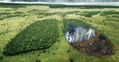 Вчені попередили людство про загрозу екологічної катастрофи