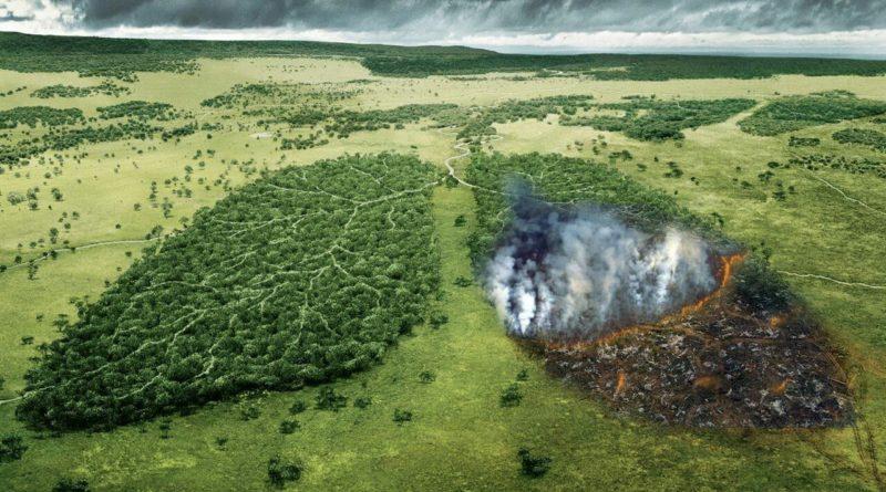 Вчені попередили людство про загрозу екологічної катастрофи