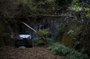 Виявлено кинутий Land Cruiser, покритий мохом усередині та зовні