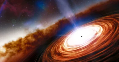Астрономи заявили, що чорні діри мають квантові властивості