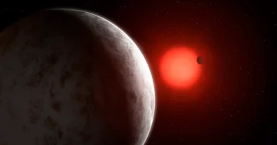 На планетах з сильно витягнутою орбітою все одно може бути життя