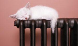 Як зберегти тепло в будинку без зайвих витрат: ці дії будуть під силу кожному українцю