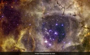 «Зоряне скупчення у формі людського черепа»: NASA показало моторошний знімок туманності Розетта