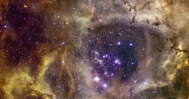«Зоряне скупчення у формі людського черепа»: NASA показало моторошний знімок туманності Розетта