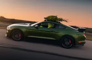 Різдвяну ялинку прокотили на швидкості 309 кілометрів на годину