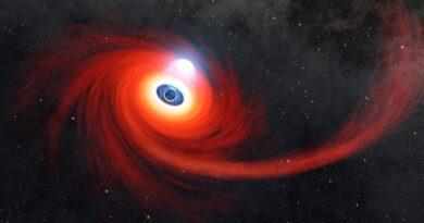 Астрономи помітили чорну діру, яка поглинає зірку, що проходить повз