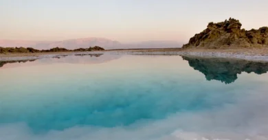 Археологи виявили у Мертвого моря унікальний скарб