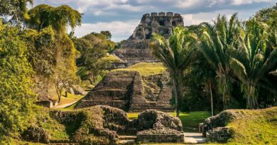 Вчені виявили величезне поселення давньої цивілізації Майя