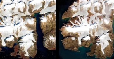 Половина льодовиків Землі зникне до 2100 року