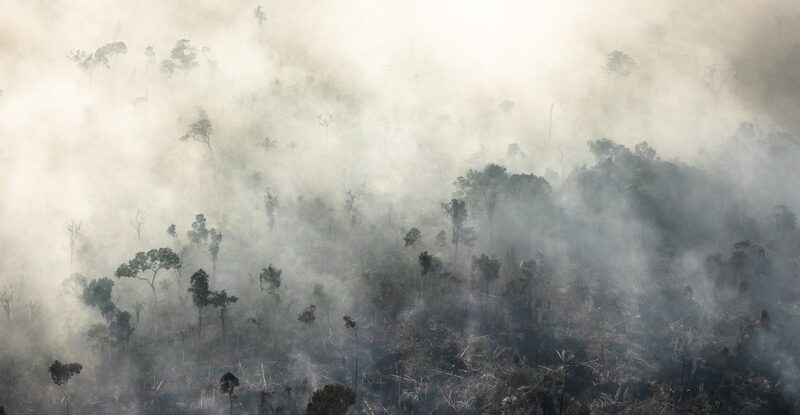Знищення Амазонки може спровокувати глобальну шкоду для Землі