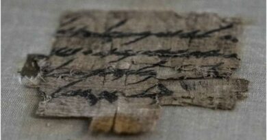 У Єгипті вперше за 100 років знайшли папірус із текстами Книги мертвих