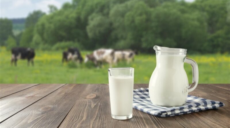 Чому чоловікам не рекомендують пити молоко після 30 років