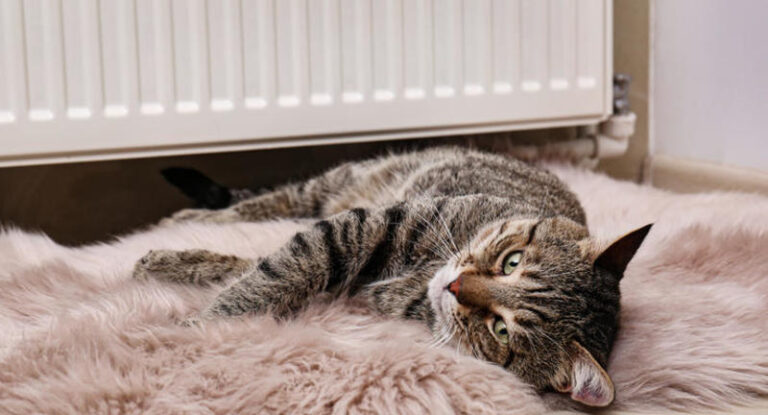 Електрик поділився порадами, як можна ефективно зберегти тепло в помешканні