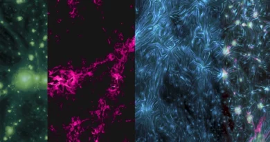 Астрономи виявили ознаки найбільших магнітних полів у Всесвіті