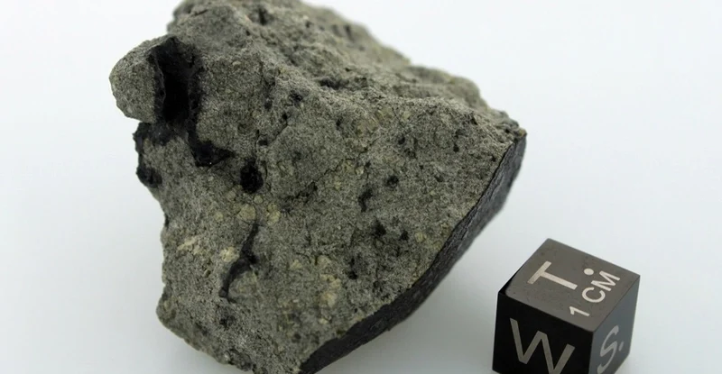 Загадковий метеорит з Марса розкриває «велике органічне розмаїття»