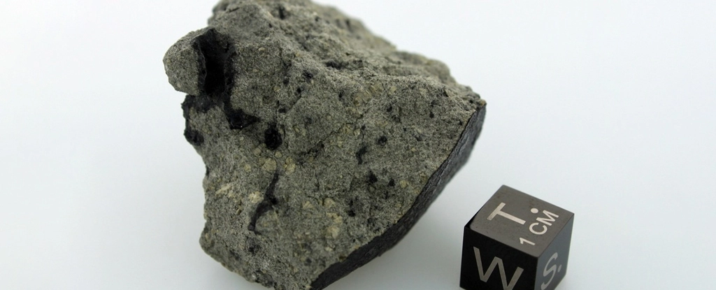 Загадковий метеорит з Марса розкриває «велике органічне розмаїття»