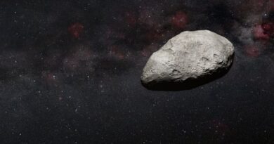 JWST випадково виявив крихітний астероїд, «захований» між Марсом і Юпітером