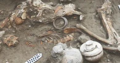 В Ізраїлі знайшли скелет 3500-річної давності з ознаками невдалої операції на мозку