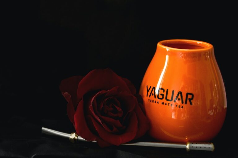 Навіщо пити мате?