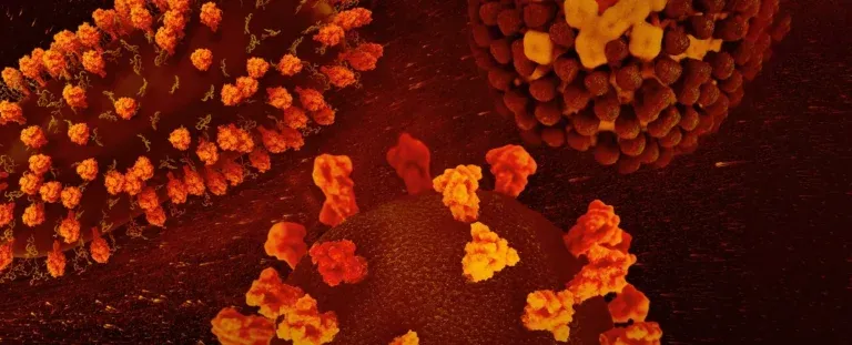 Вчені пояснили, чому нові віруси з'являються один за одним