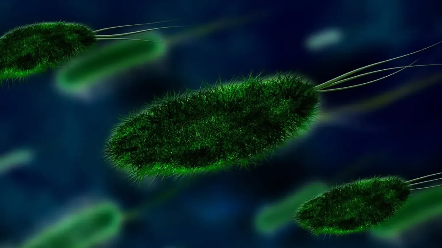 Смертоносні хвороби "підкорюють" північ: вчені назвали ще одну небезпеку глобального потепління