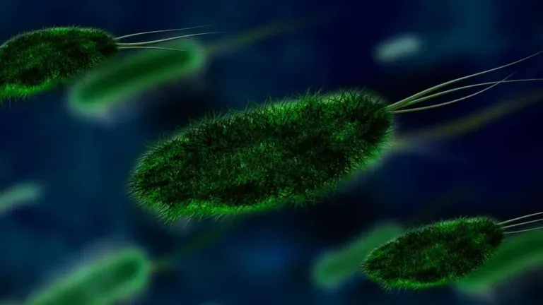 Смертоносні хвороби "підкорюють" північ: вчені назвали ще одну небезпеку глобального потепління