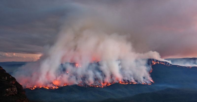 Дим від лісових пожеж може руйнувати озоновий шар, попереджають вчені