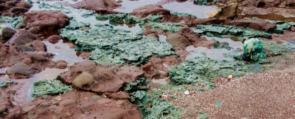На острові в Тихому океані з'явилися скелі з пластику
