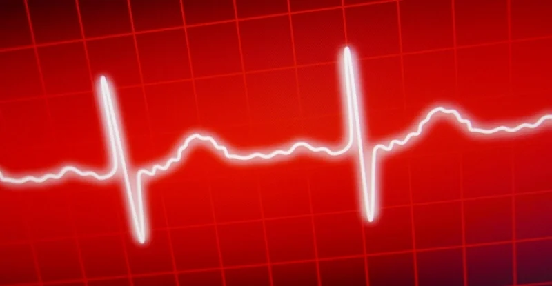 Нове дослідження виявило дивовижний зв'язок між серцебиттям і сприйняттям часу