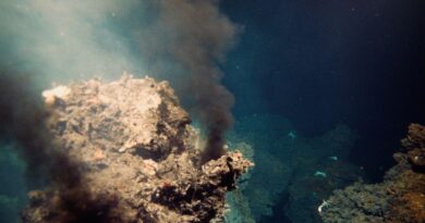 Вчені виявили, як бактерії подорожували глибоководними жерлами, щоб поширити давнє життя