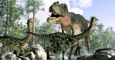 Ця адаптація дозволила динозаврам не тільки вижити, але й домінувати на планеті