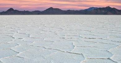 Вчені нарешті зрозуміли, чому соляні пустелі вкриті дивними візерунками