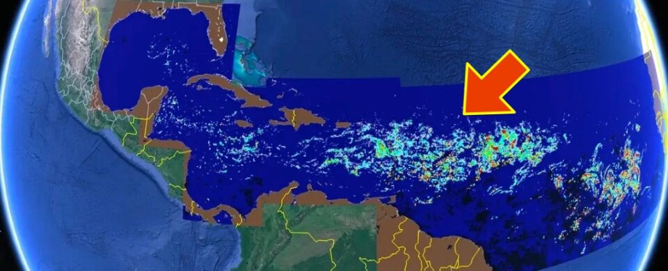 Супутники зафіксували рекордний розмір цвітіння водоростей, яке наближається до узбережжя Флориди