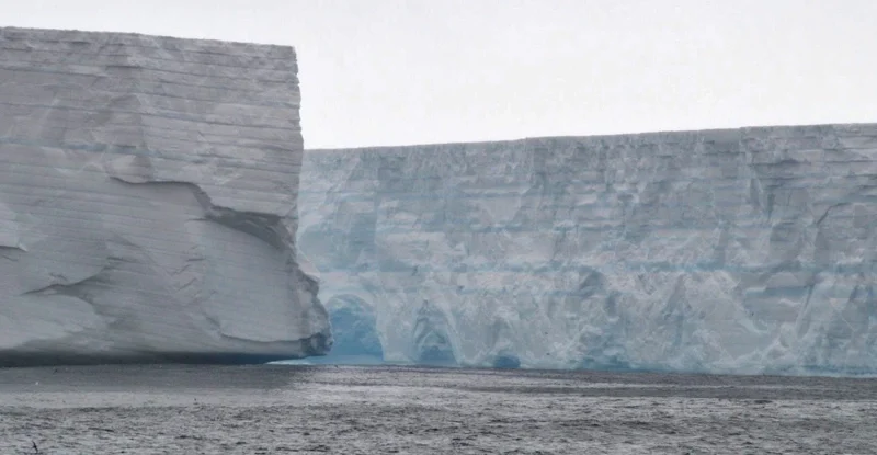 Гігантський айсберг відколовся від шельфового льодовика Антарктиди