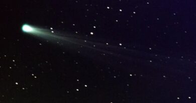 Вчені виявили комету, яка може затьмарити зірки на небі