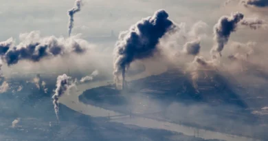 Тривожна реальність: Забруднення повітря загрожує майже скрізь на Землі