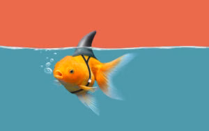 Інформаційна гігієна: як виявити фейк