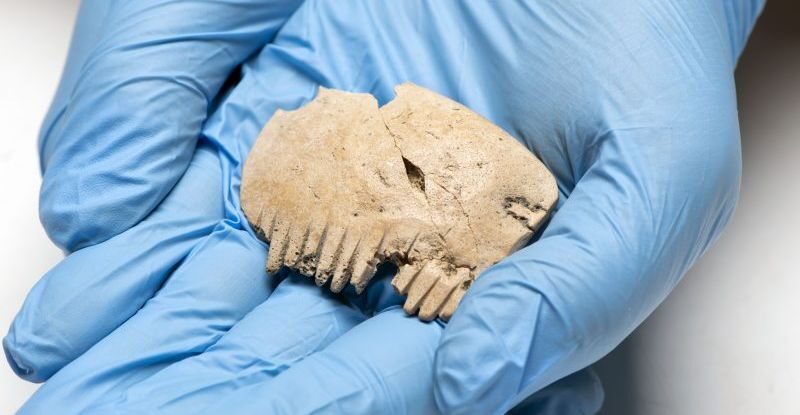 В Англії знайшли таємничий кістяний гребінець, який має моторошне походження