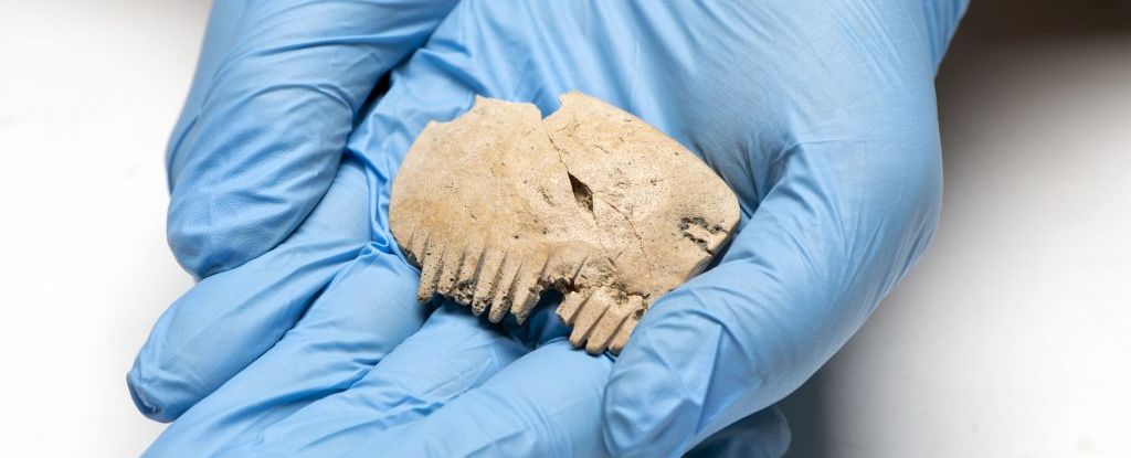 В Англії знайшли таємничий кістяний гребінець, який має моторошне походження